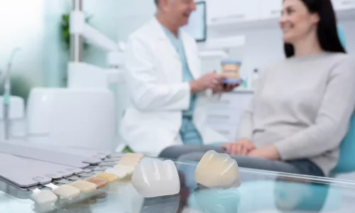Gülüş Tasarımı İçin Zirconia ve Emax: Hollandalı Hastalar İçin Hangisi Daha İyi? - Milim Dental Hospital