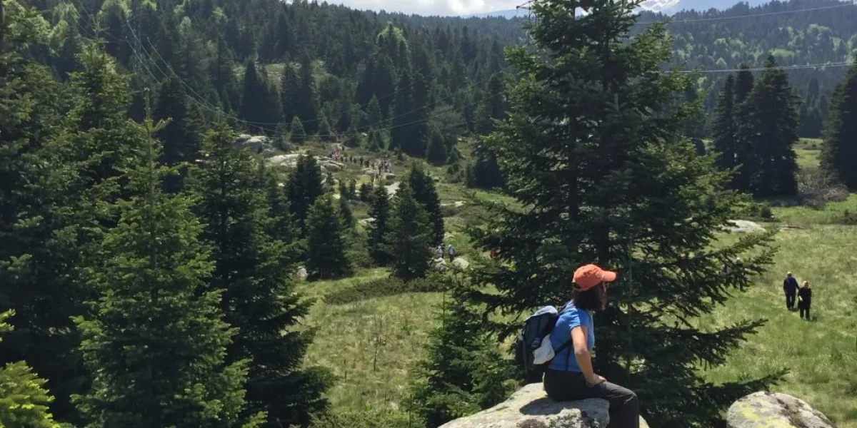 Antalya Diş Tedavisini Unutun: Uluslararası Hastalar Diş Tedavisi İçin Neden Bursa'yı Tercih Ediyor